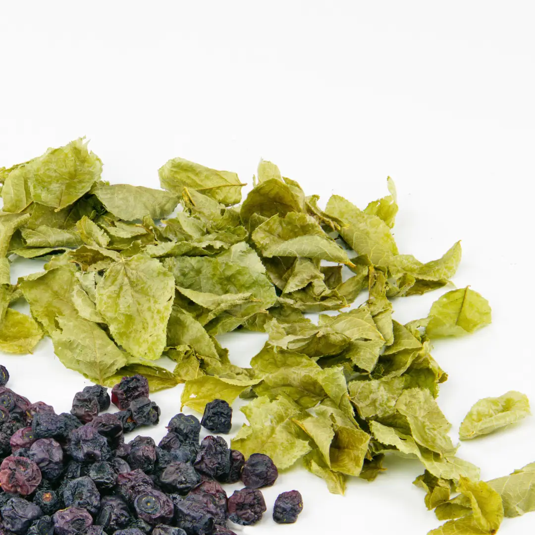 Aronia