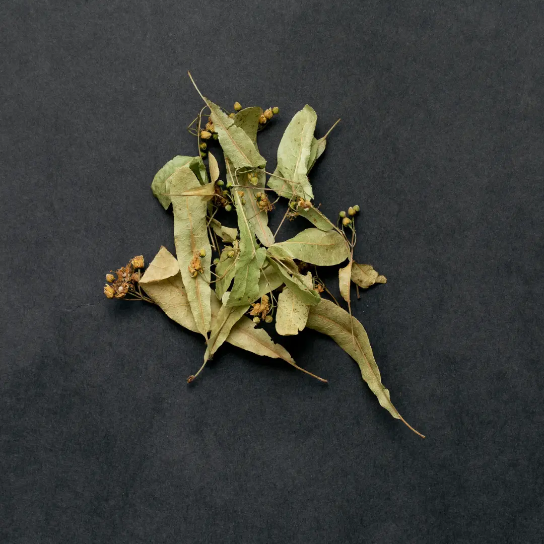 Aronia