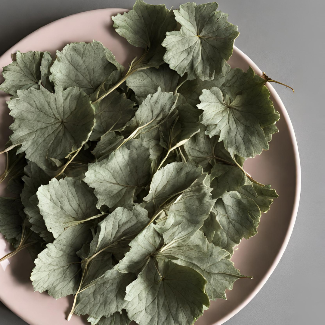 Aronia