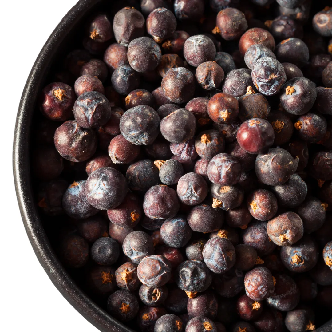 Aronia