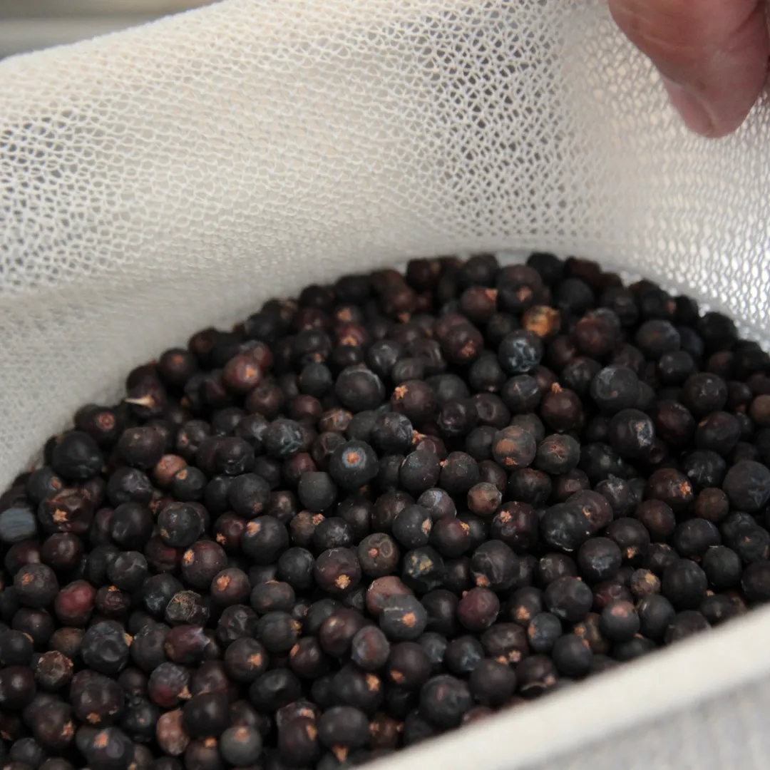 Aronia