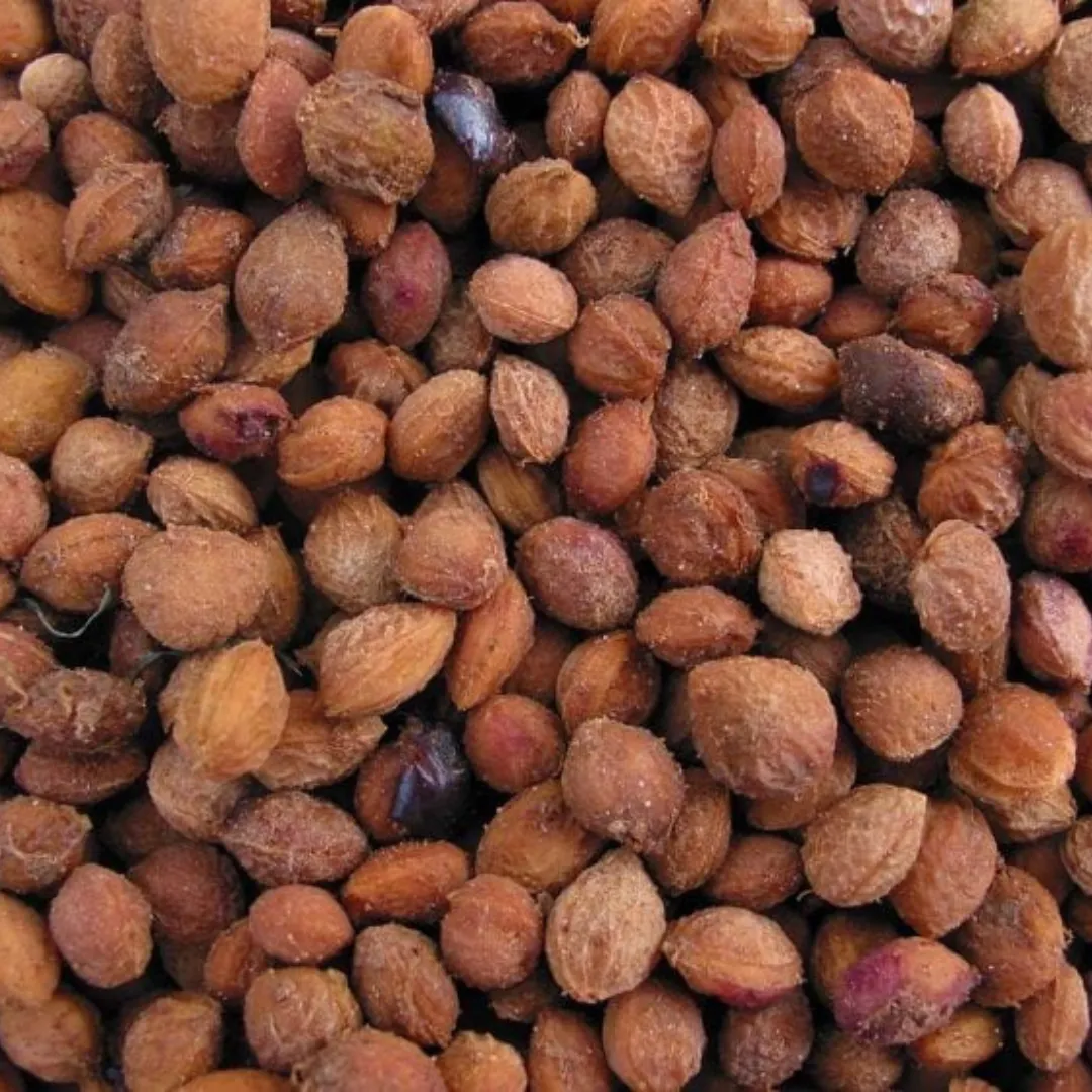 Aronia