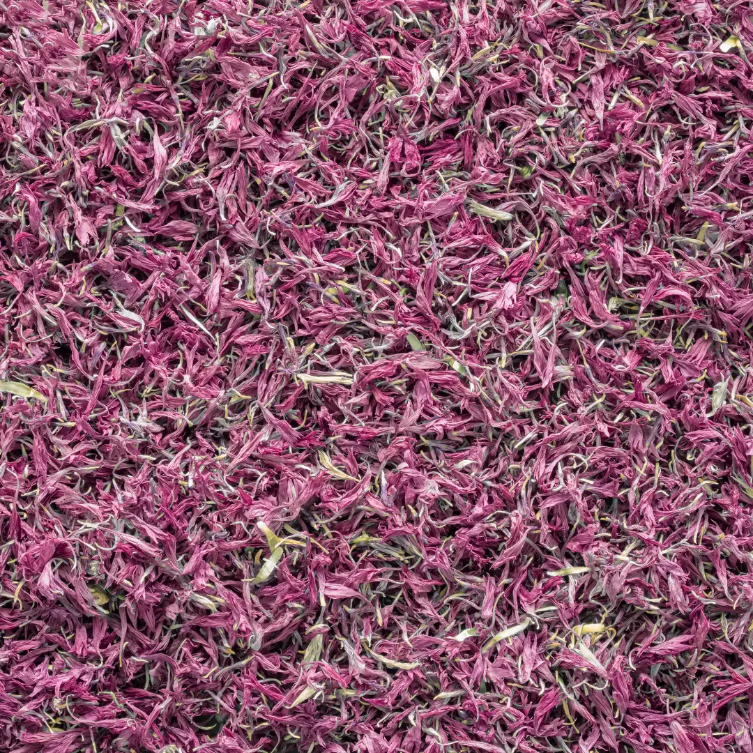 Aronia