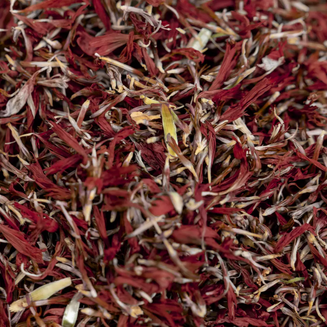 Aronia