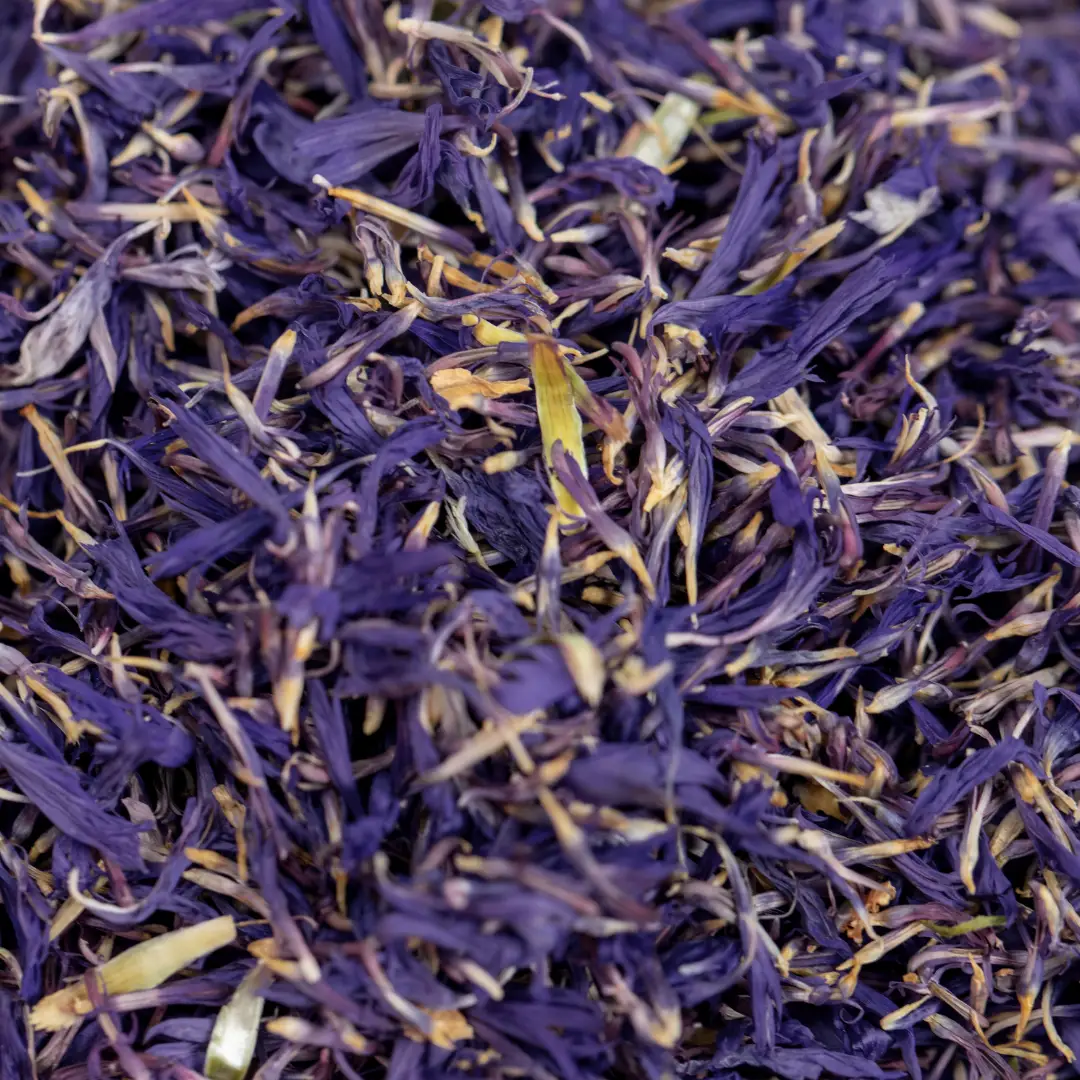 Aronia